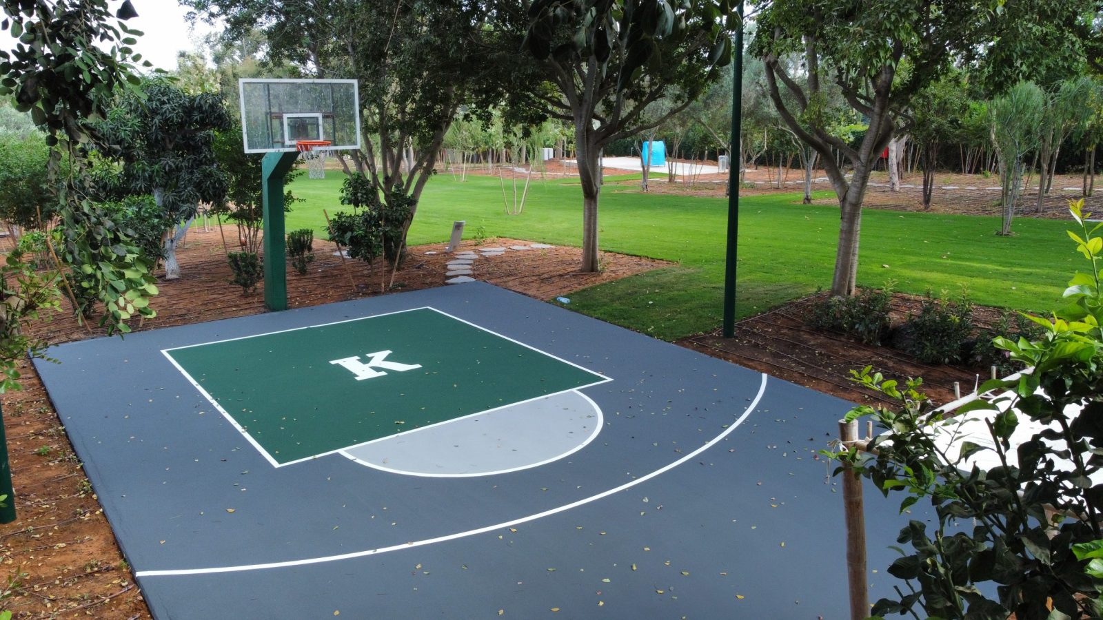 מגרש כדורסל ביתי