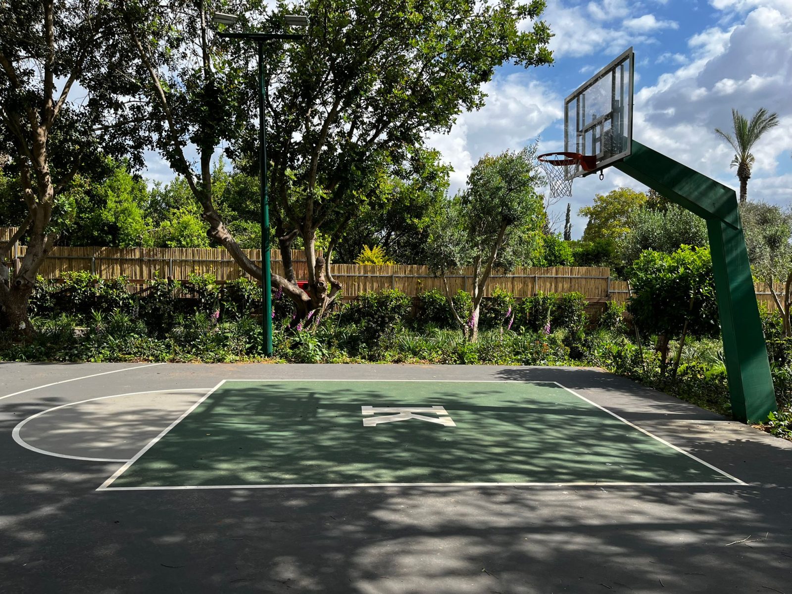 מגרש כדורסל ביתי