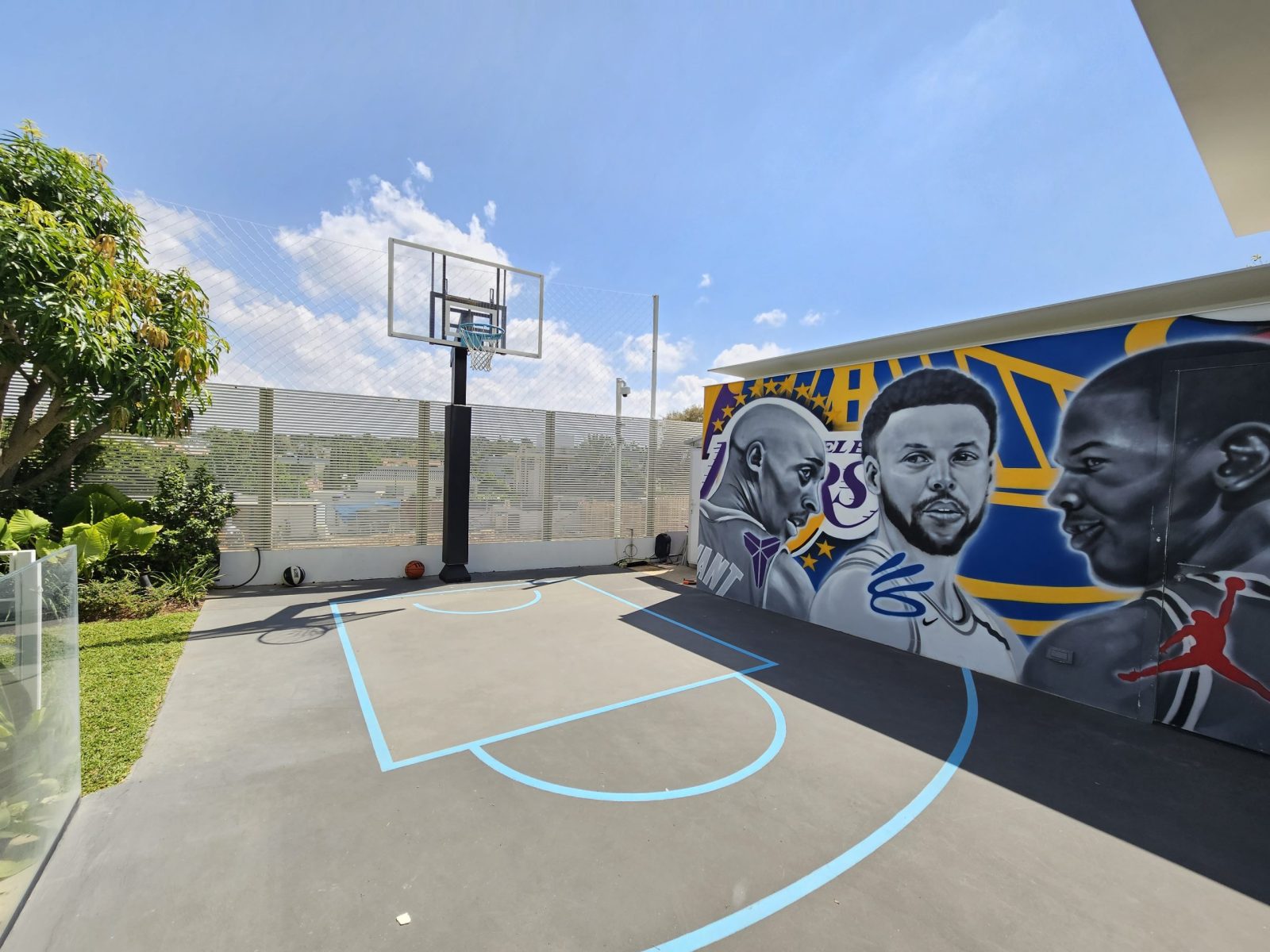 מגרש כדורסל ביתי